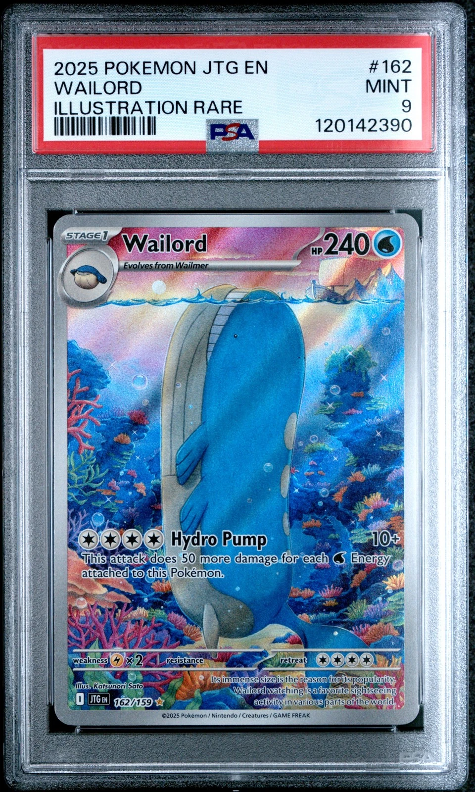2025 Wailord Illustration Rare • PSA 10